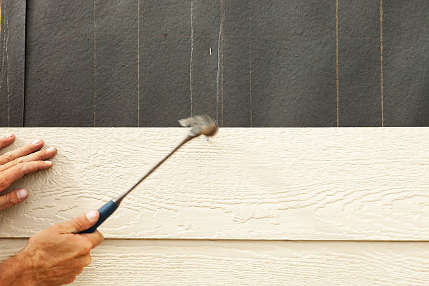 Best Insulated Siding Installation  in Licking, MO